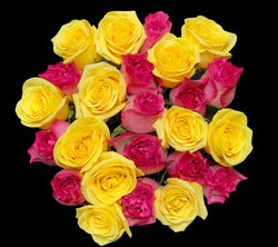 second_checkered_pink_yellow