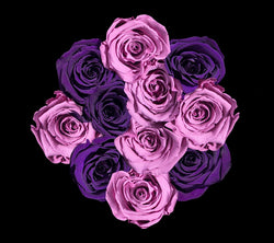 checkered_plum_lavender