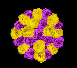 checkered_purple_yellow