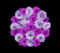 checkered_purple_lilac