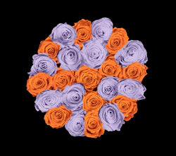 checkered_orange_lilac