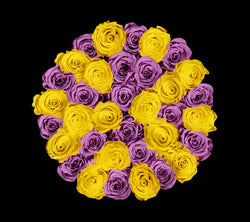 checkered_lavender_yellow