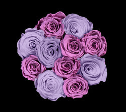 checkered_lavender_lilac