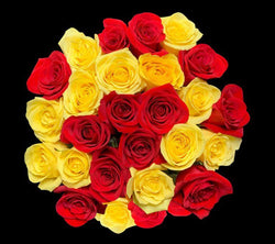 second_checkered_red_yellow