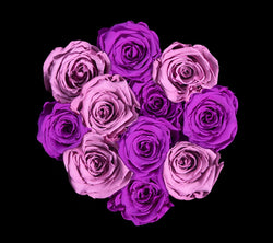 checkered_purple_lavender