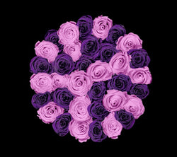 checkered_plum_lavender