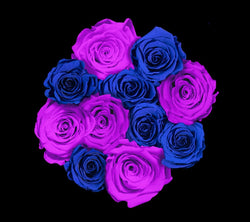 checkered_royalblue_purple