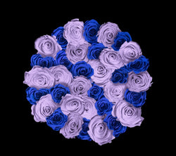 checkered_royalblue_lilac