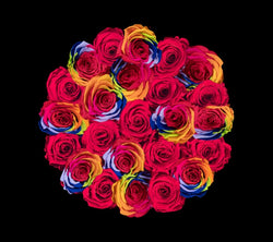 checkered_red_rainbow