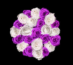 checkered_purple_white