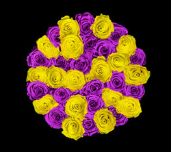 checkered_purple_yellow