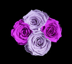 checkered_purple_lilac