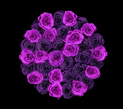 checkered_plum_purple