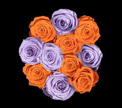 checkered_orange_lilac