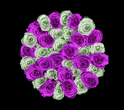 checkered_mintgreen_purple