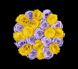 checkered_lilac_yellow
