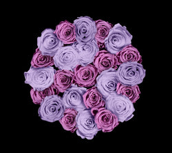 checkered_lavender_lilac