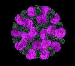 checkered_forestgreen_purple