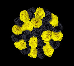 checkered_black_yellow