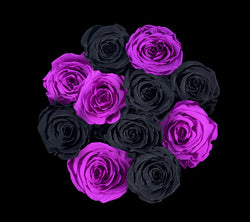 checkered_black_purple